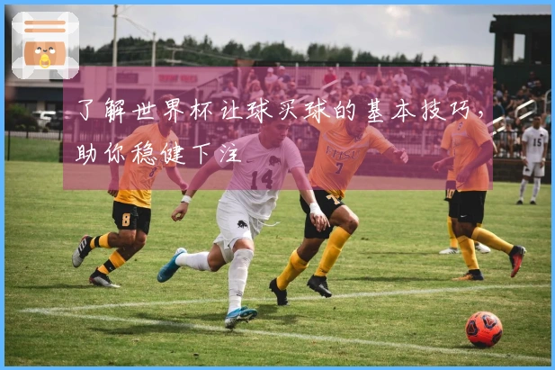 了解世界杯让球买球的基本技巧，助你稳健下注