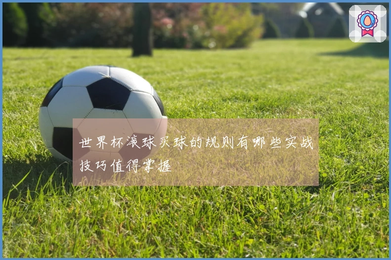 世界杯滚球买球的规则有哪些实战技巧值得掌握